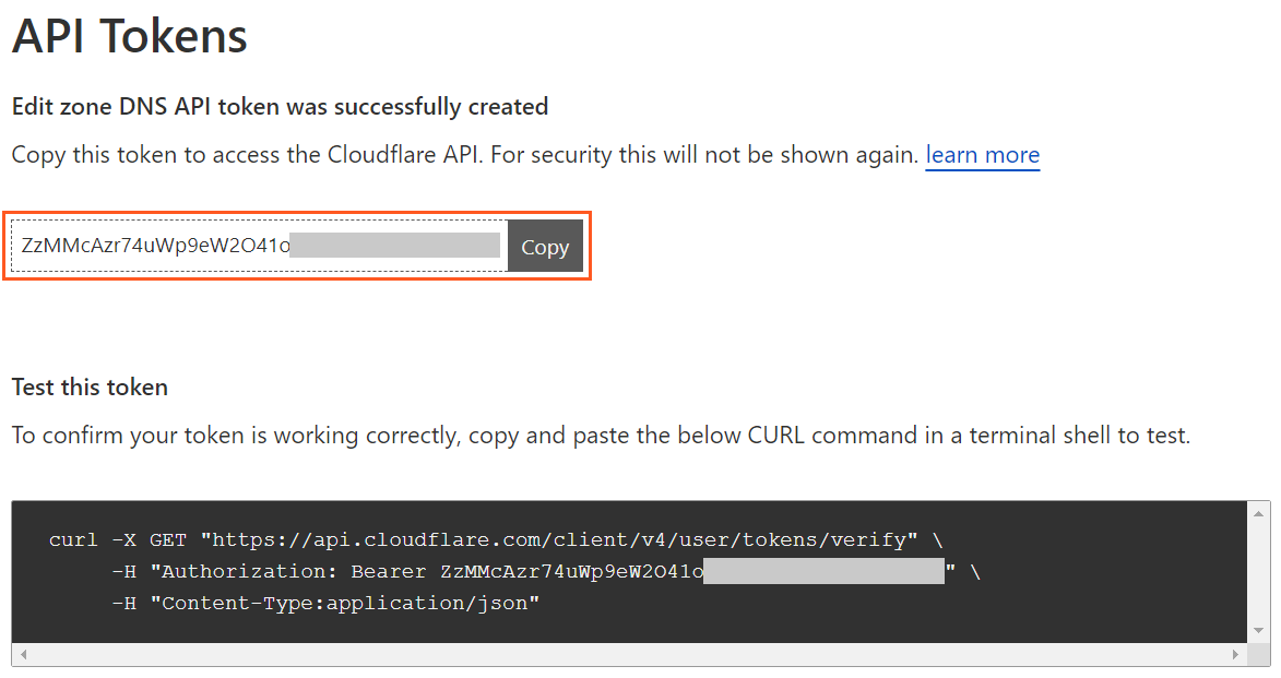 Token creation completion screen displaying your API token and the <code>curl</code> command to test your token